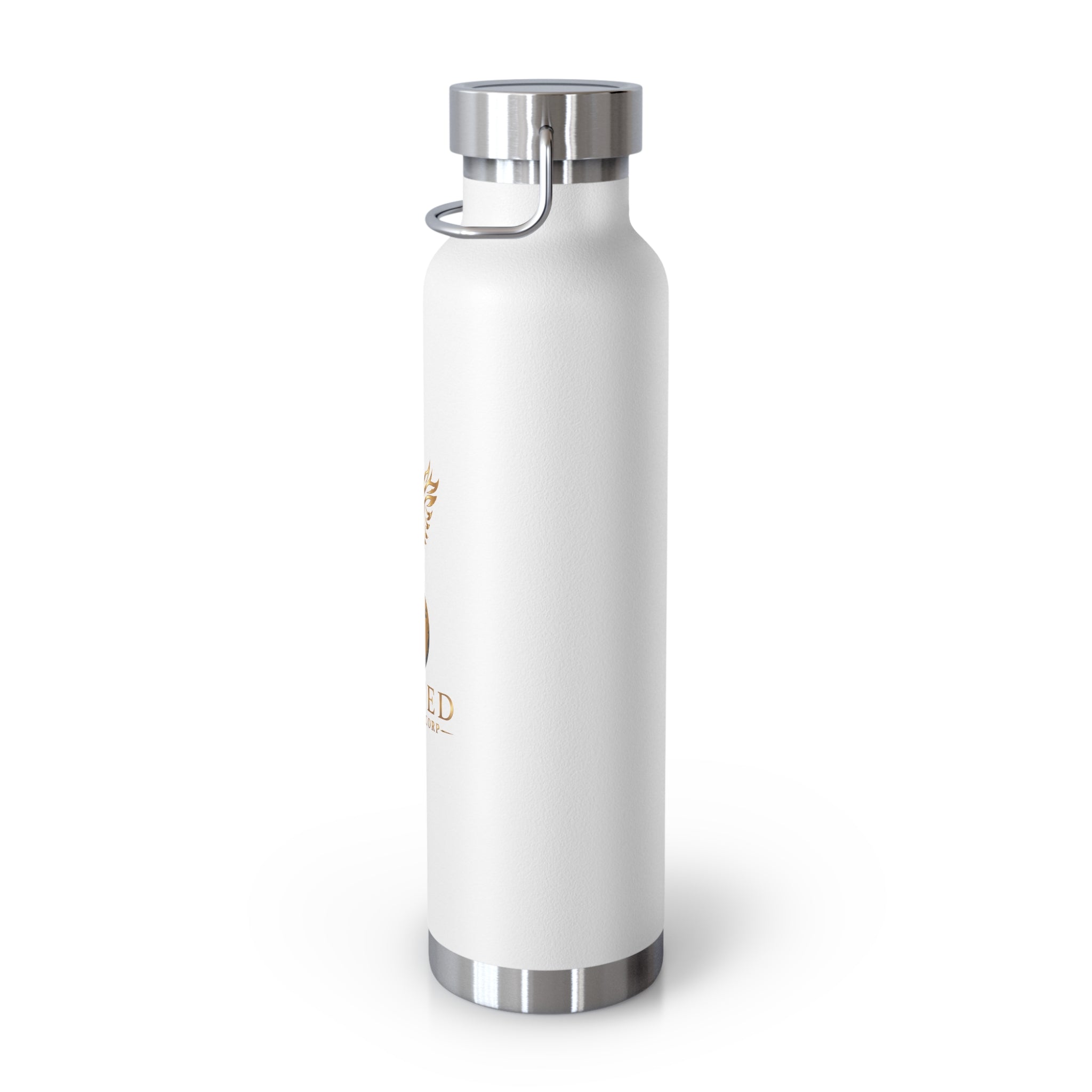 United Payment Corp 22oz Insulated Bottle