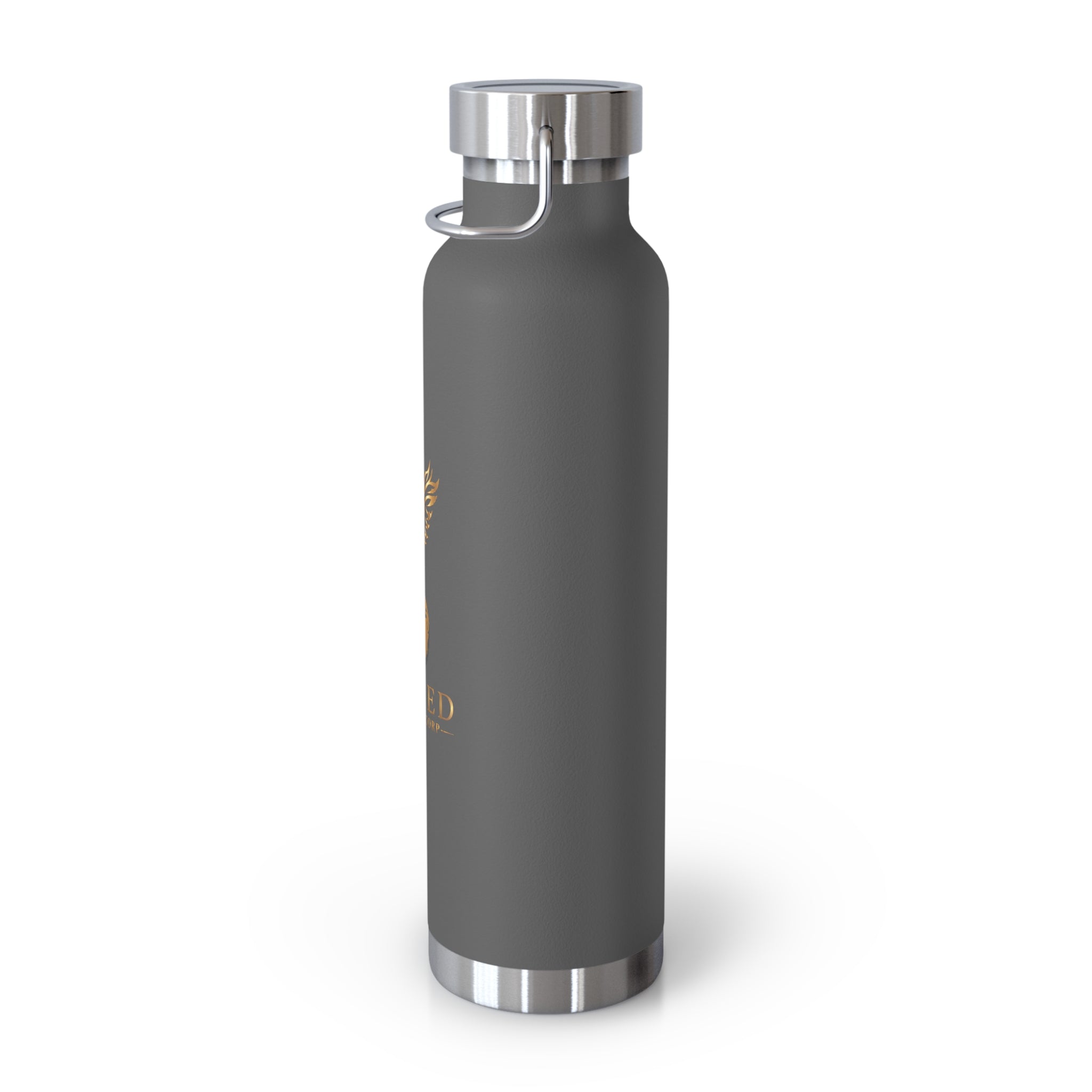 United Payment Corp 22oz Insulated Bottle