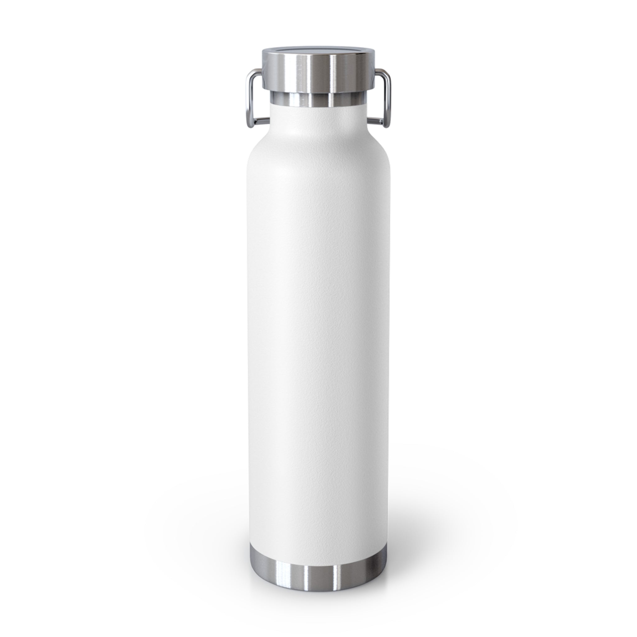 United Payment Corp 22oz Insulated Bottle