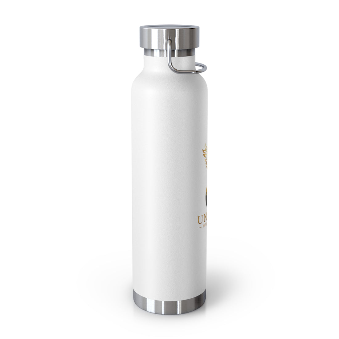 United Payment Corp 22oz Insulated Bottle